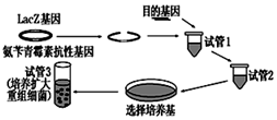 菁優(yōu)網