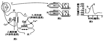 菁優(yōu)網(wǎng)