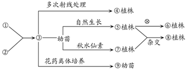 菁優(yōu)網