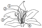 菁優(yōu)網(wǎng)