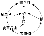 菁優(yōu)網(wǎng)