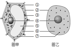 菁優(yōu)網