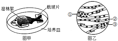 菁優(yōu)網