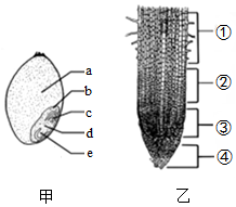 菁優(yōu)網