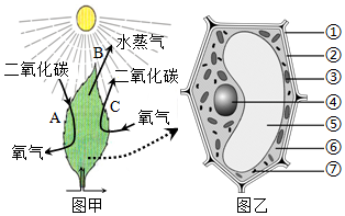 菁優(yōu)網(wǎng)