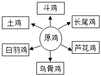 菁優(yōu)網