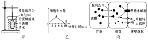 菁優(yōu)網(wǎng)