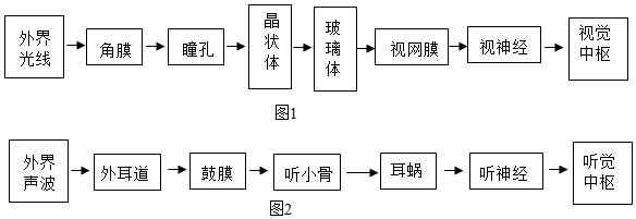 菁優(yōu)網