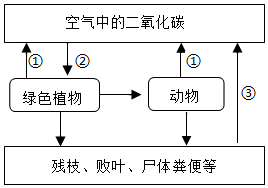 菁優(yōu)網(wǎng)