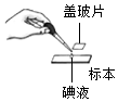 菁優(yōu)網(wǎng)