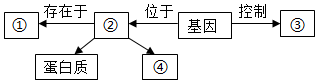 菁優(yōu)網(wǎng)