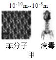 菁優(yōu)網