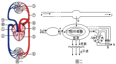 菁優(yōu)網(wǎng)