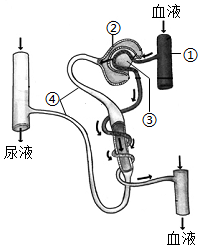 菁優(yōu)網(wǎng)