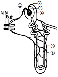 菁優(yōu)網(wǎng)