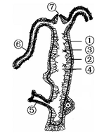 菁優(yōu)網(wǎng)