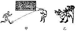 菁優(yōu)網(wǎng)