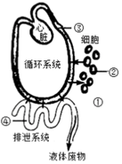 菁優(yōu)網(wǎng)