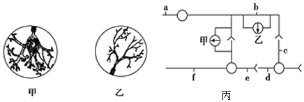 菁優(yōu)網(wǎng)