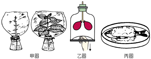 菁優(yōu)網(wǎng)