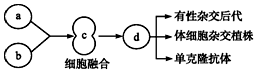 菁優(yōu)網