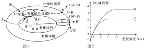 菁優(yōu)網(wǎng)