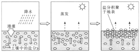 菁優(yōu)網