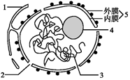 菁優(yōu)網(wǎng)