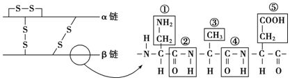 菁優(yōu)網