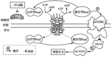 菁優(yōu)網