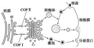 菁優(yōu)網(wǎng)