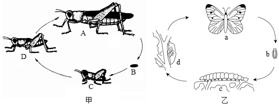 菁優(yōu)網