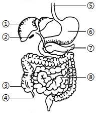 菁優(yōu)網(wǎng)