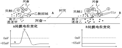 菁優(yōu)網