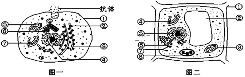 菁優(yōu)網