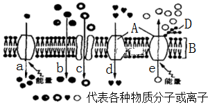 菁優(yōu)網(wǎng)