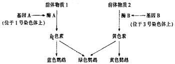 菁優(yōu)網