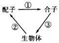 菁優(yōu)網(wǎng)