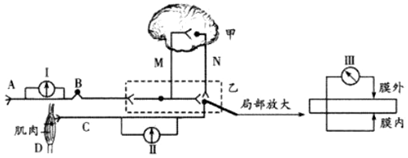 菁優(yōu)網(wǎng)