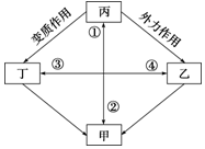 菁優(yōu)網(wǎng)