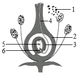 菁優(yōu)網