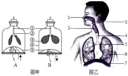 菁優(yōu)網