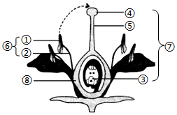 菁優(yōu)網(wǎng)