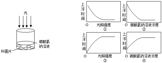 菁優(yōu)網