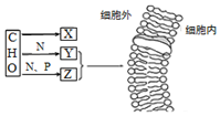 菁優(yōu)網(wǎng)