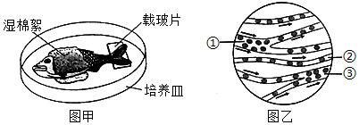 菁優(yōu)網(wǎng)