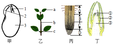 菁優(yōu)網