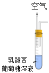 菁優(yōu)網