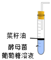 菁優(yōu)網