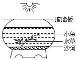 菁優(yōu)網(wǎng)